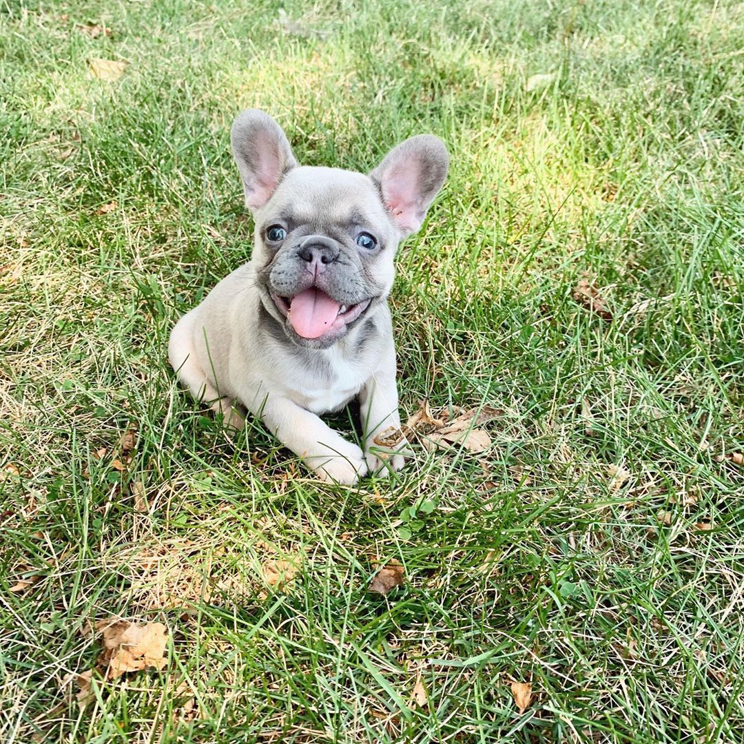 Lil Mädchen